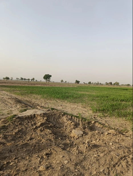 RW72+PWF, NH 9, Chamraua, Daulara, Uttar Pradesh 244104, India