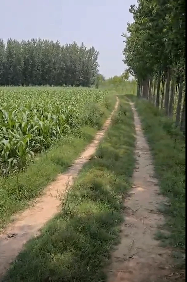 Puranpur, Uttar Pradesh 261001, India