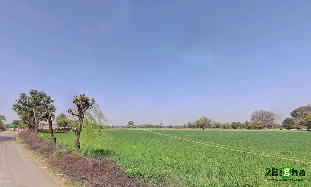 Rani Pipriya, Madhya Pradesh 487110, India