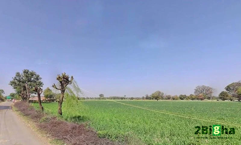 Rani Pipriya, Madhya Pradesh 487110, India preview 3