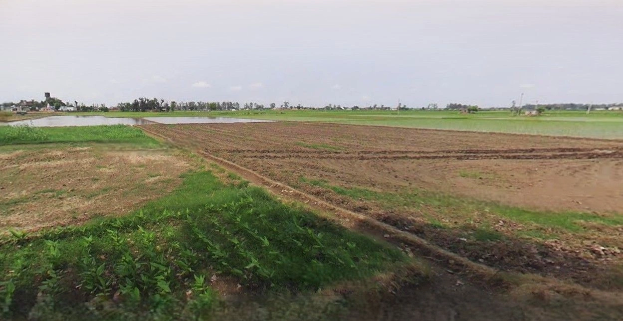 Mohanlalganj, Uttar Pradesh 226301, India