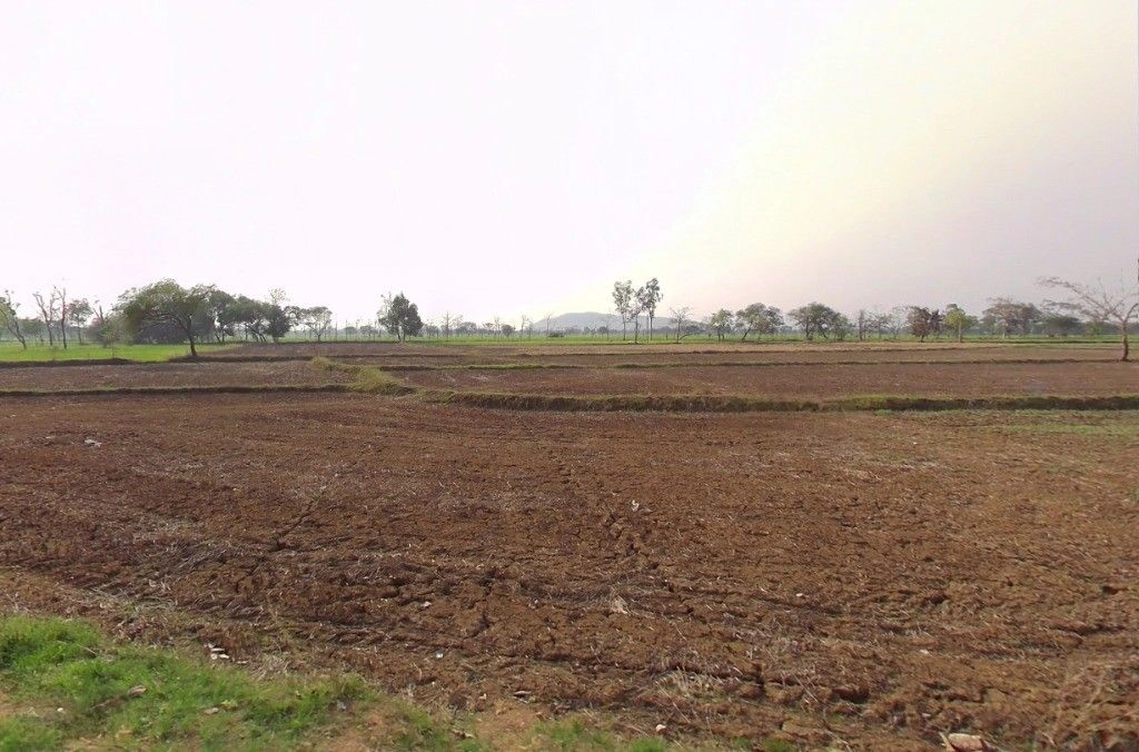 Khuteri, Chhattisgarh 493449, India preview 2