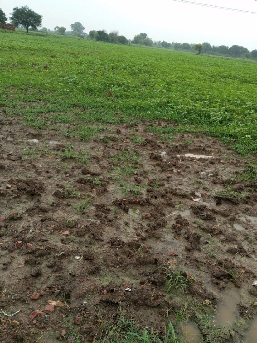 7, Dhamtari, Bhakhara, Chhattisgarh 493196, India