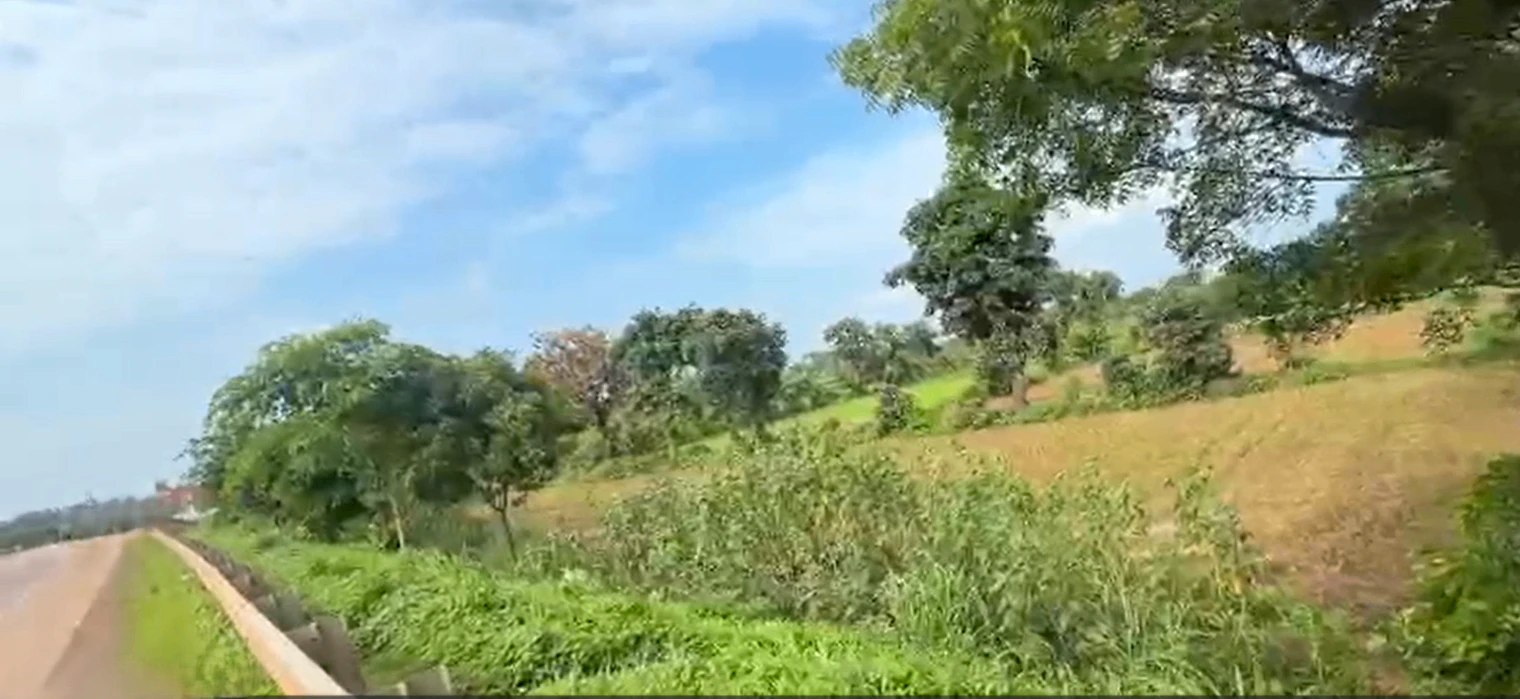 419, Jabalpur, Panagar, Madhya Pradesh 483220, India
