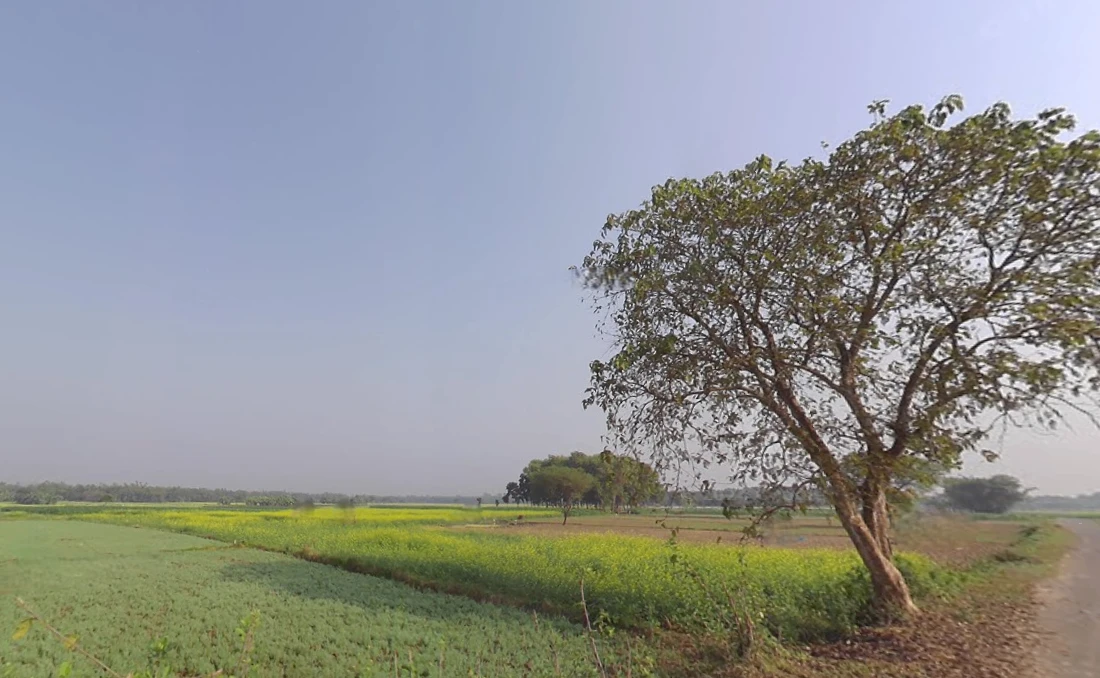 Krishnanagar, West Bengal, India