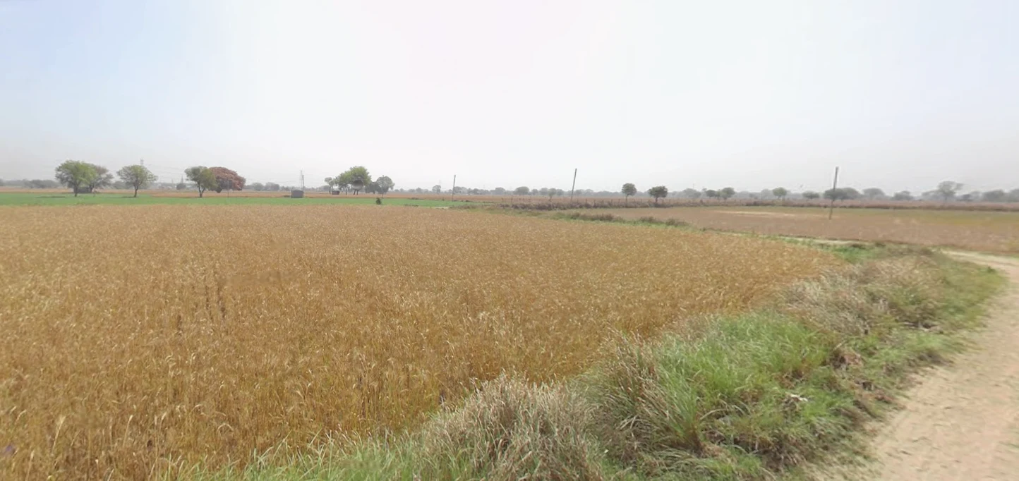 Rampura, Gujarat 393145, India