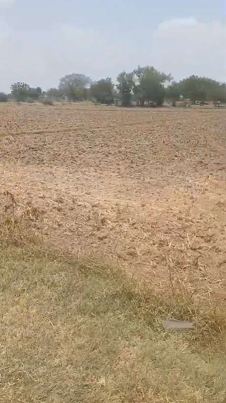 5RR5+W5, Kantaian, Uttar Pradesh 261304, India
