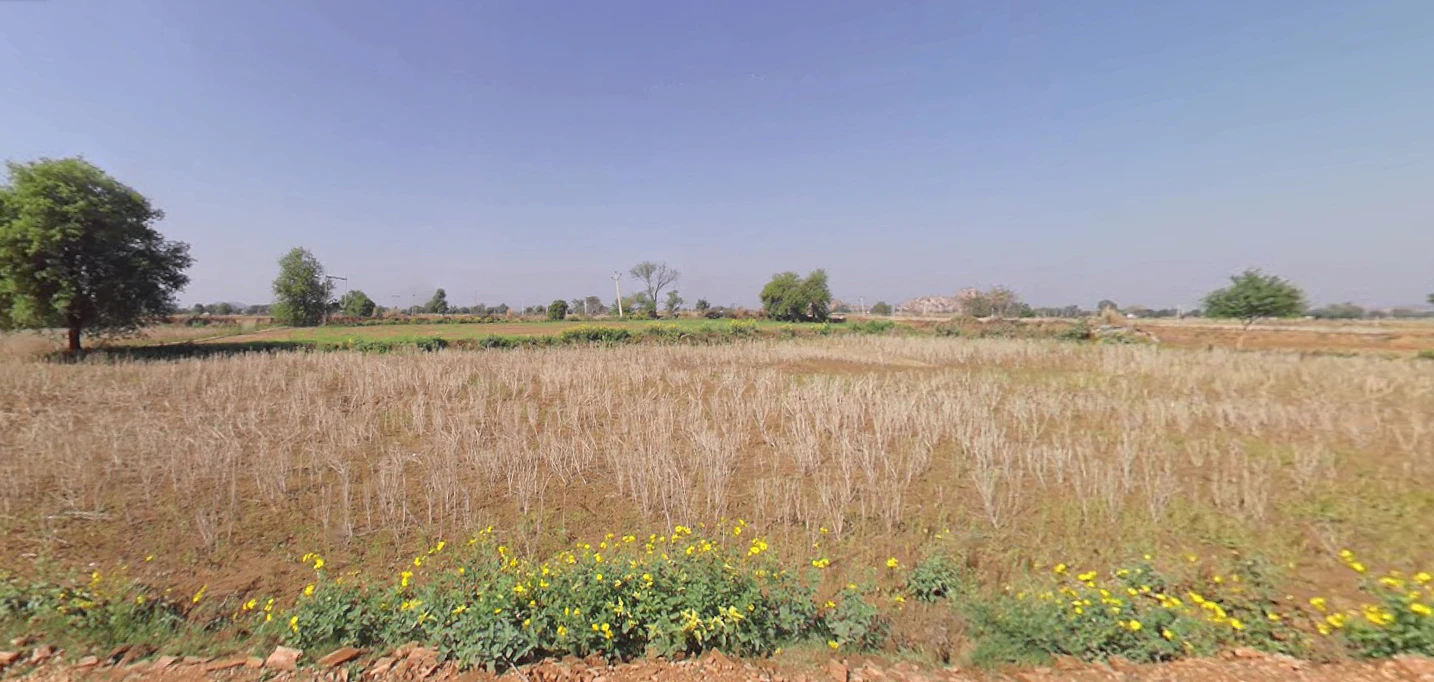 Bahadurpur, Rajasthan 301409, India