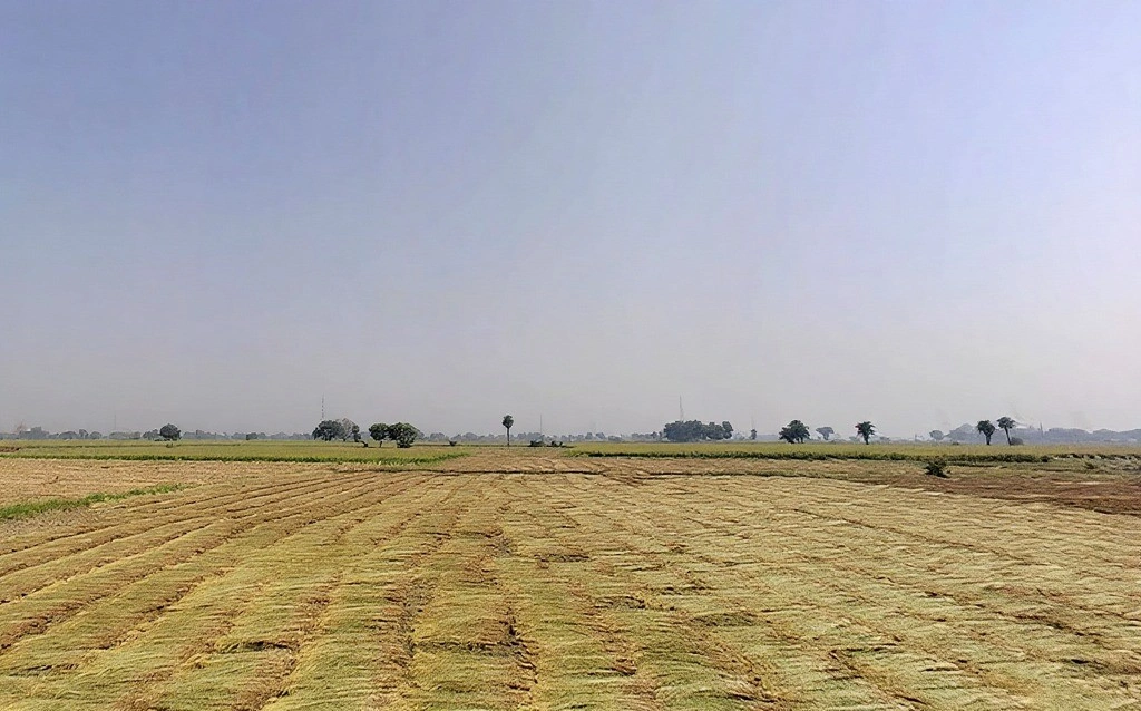 Tappal, Uttar Pradesh 202165, India