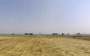 Tappal, Uttar Pradesh 202165, India preview 2