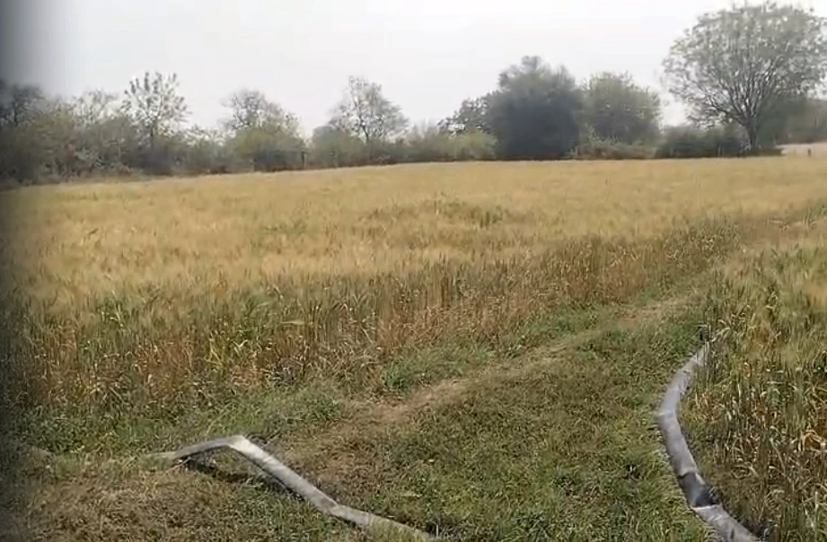 Dabhaura, Madhya Pradesh 486556, India