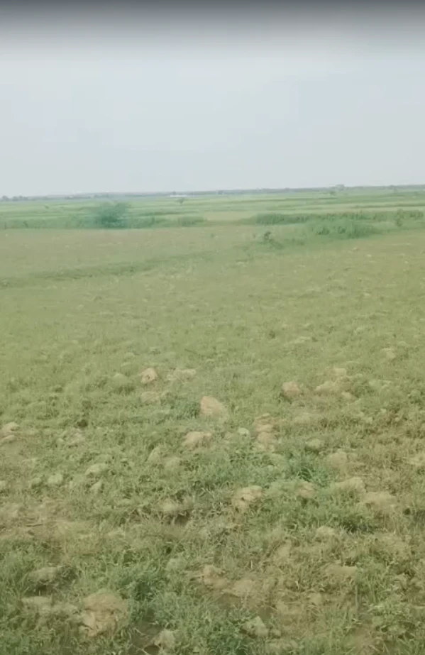 34C2+M6X, Manikpur, Pata, Uttar Pradesh 210208, India