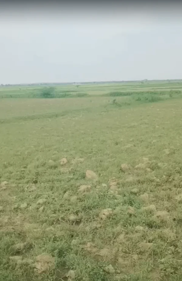 34C2+M6X, Manikpur, Pata, Uttar Pradesh 210208, India preview 3