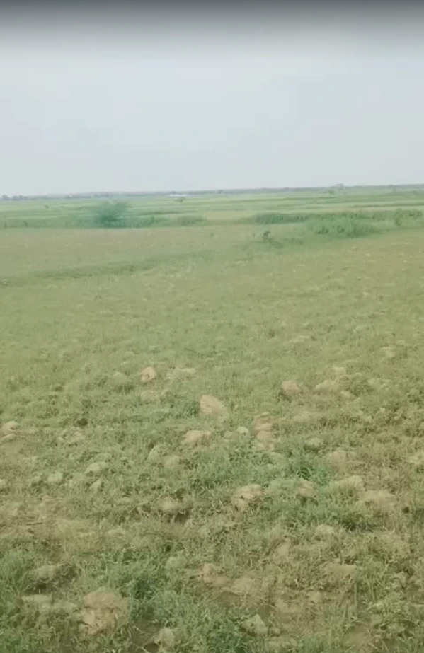 34C2+M6X, Manikpur, Pata, Uttar Pradesh 210208, India