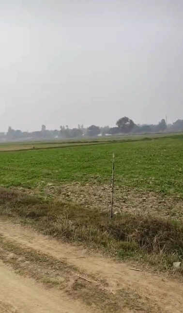 Morinda - Chunni Rd, Bhateri, Punjab, India
