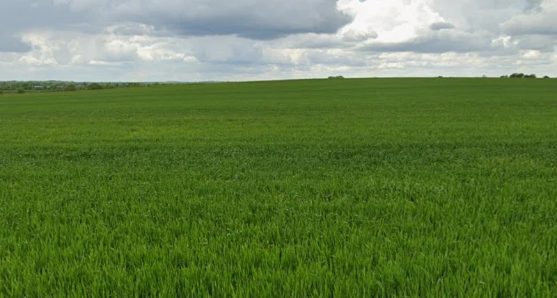 Khargone, Madhya Pradesh 451001, India preview 3