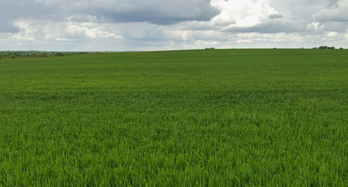 Khargone, Madhya Pradesh 451001, India