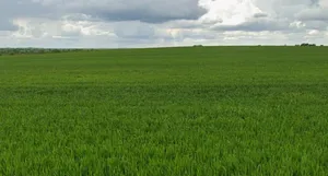 Khargone, Madhya Pradesh 451001, India preview 3