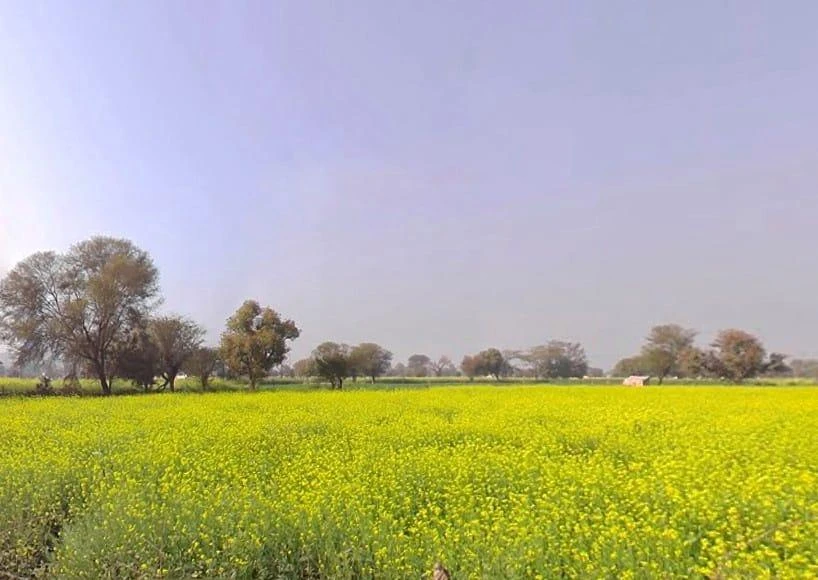Malawali, Rajasthan 321633, India