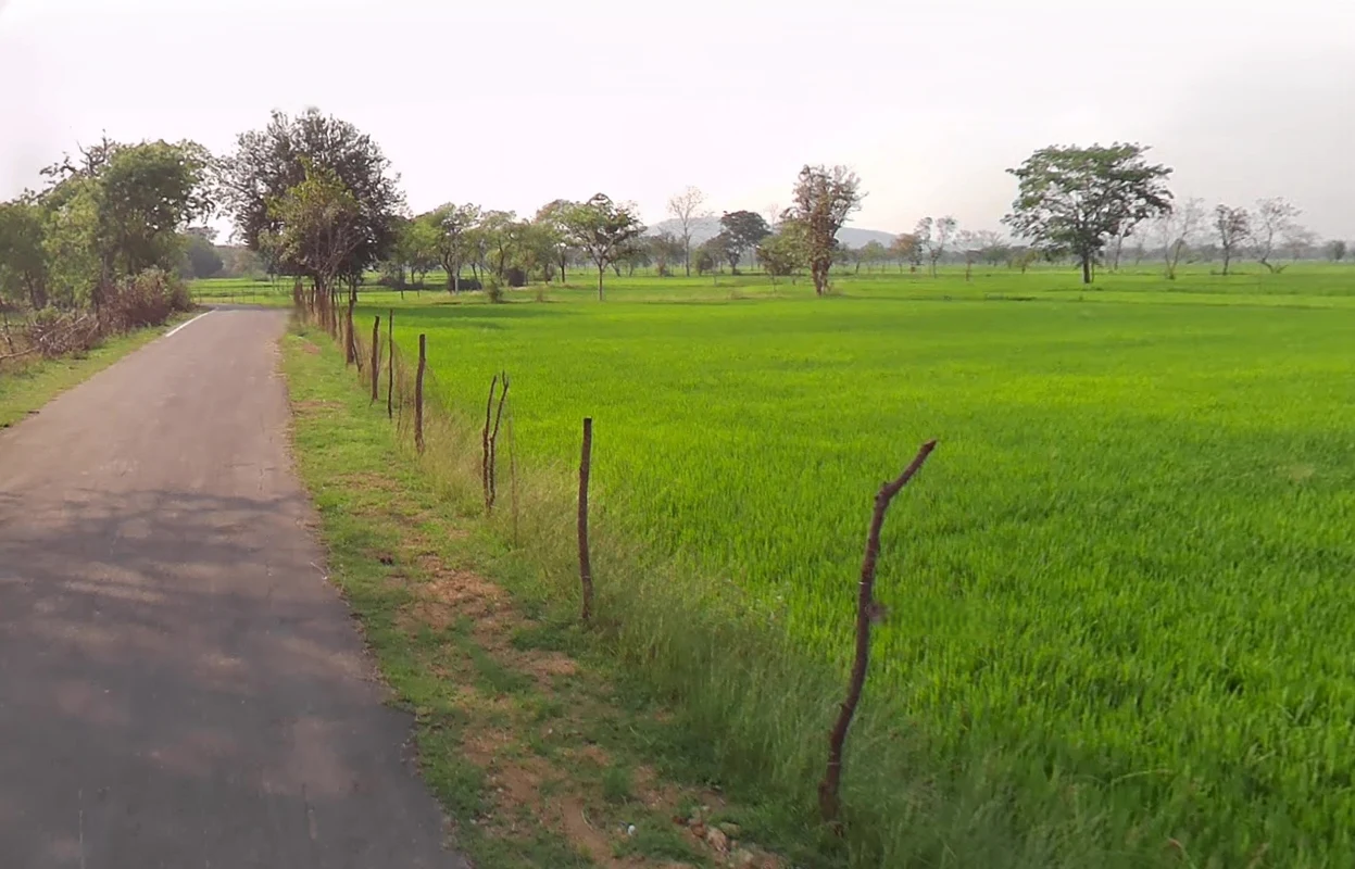 Jondhra, Chhattisgarh, India preview 2