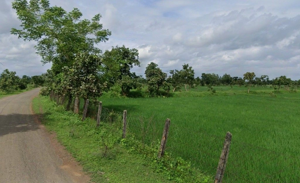 Chhuikhadan, Chhattisgarh 491441, India