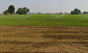 Misrod, Bhopal, Madhya Pradesh, India preview 2