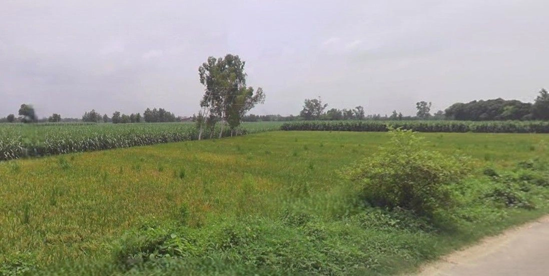Sardhana, Uttar Pradesh 250342, India