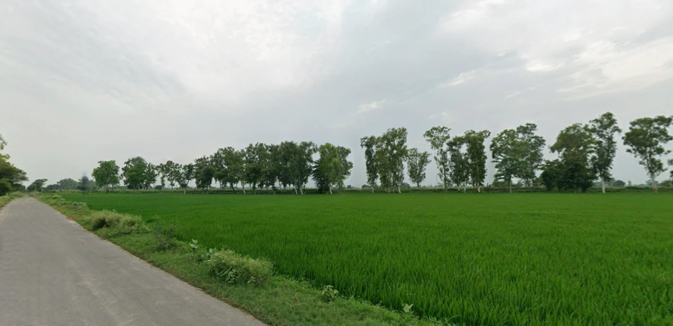 Nurpur Bedi, Punjab 140117, India