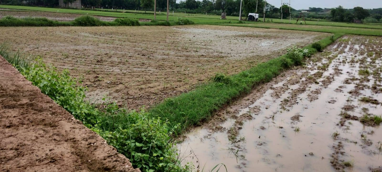 Helak, Rajasthan, India