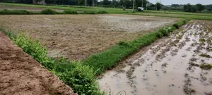 Helak, Rajasthan, India preview 3