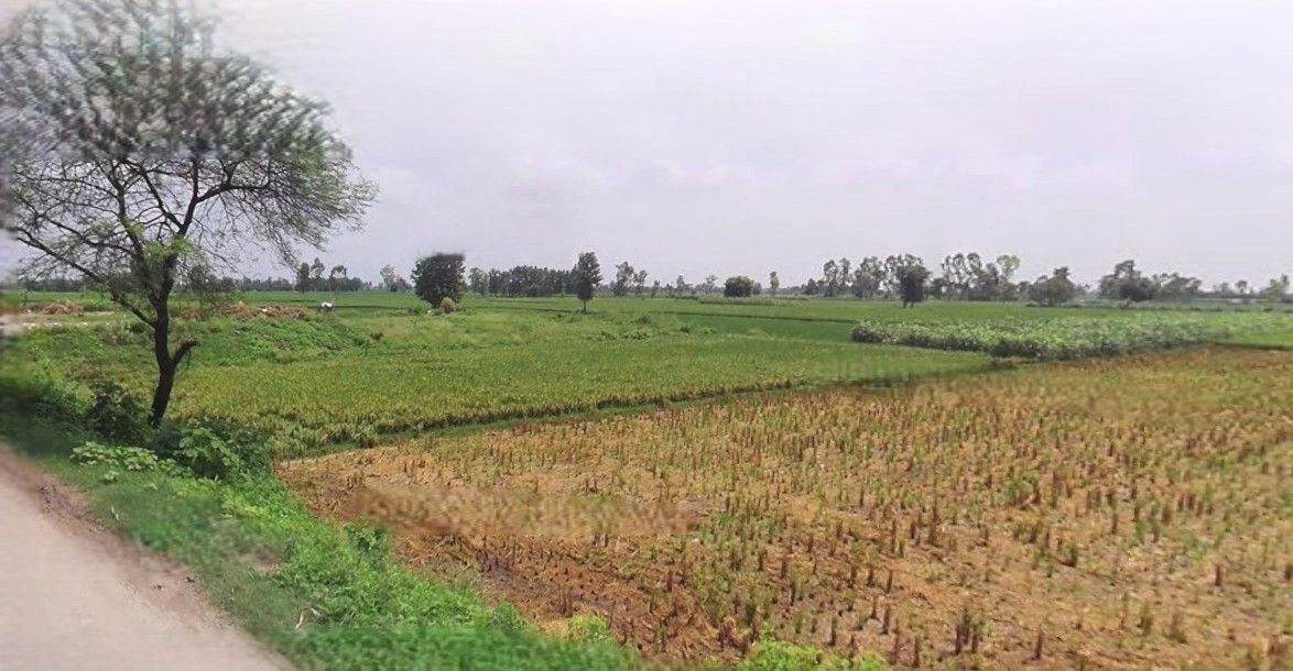 Jauli, Uttar Pradesh 251308, India preview 2