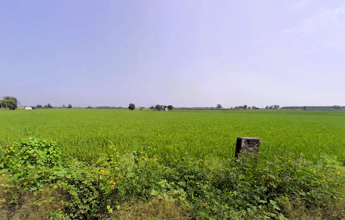 Barara, Haryana 133201, India
