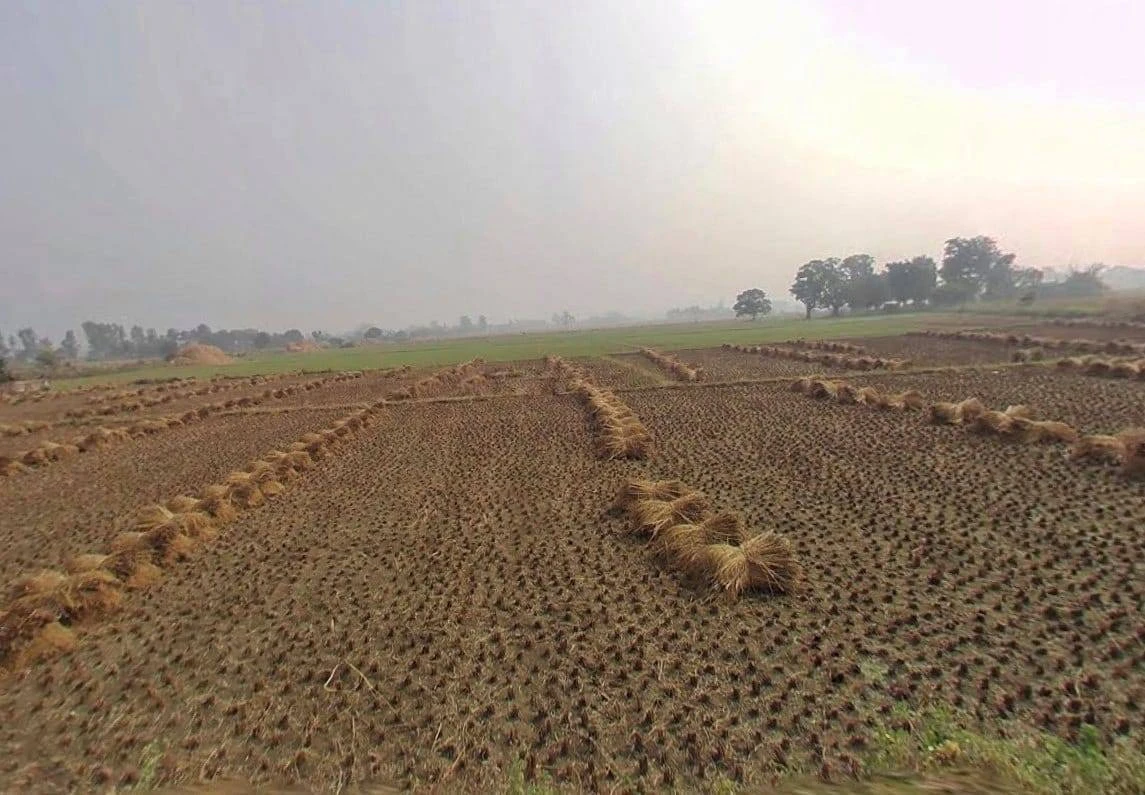 X3W6+FP Koraon, Uttar Pradesh, India