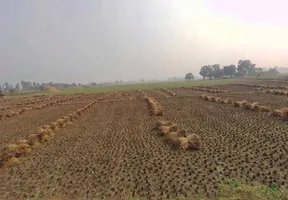 X3W6+FP Koraon, Uttar Pradesh, India preview 3