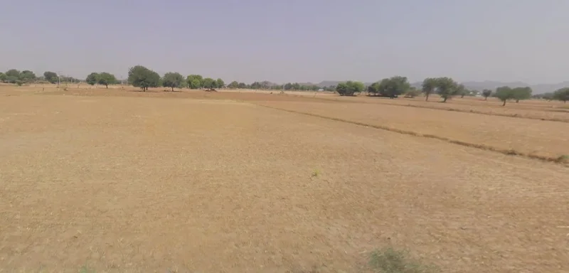 Aama, Rajasthan 311025, India preview 3