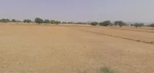 Aama, Rajasthan 311025, India preview 3