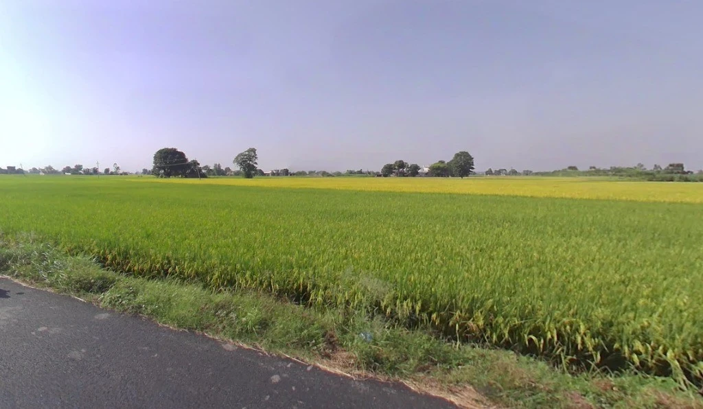 Jhalap, Chhattisgarh 493551, India