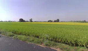 Jhalap, Chhattisgarh 493551, India preview 2