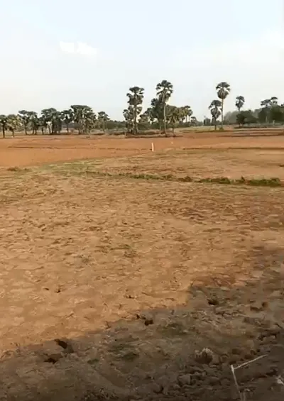 Khamtarai, Raipur, Chhattisgarh, India preview 2