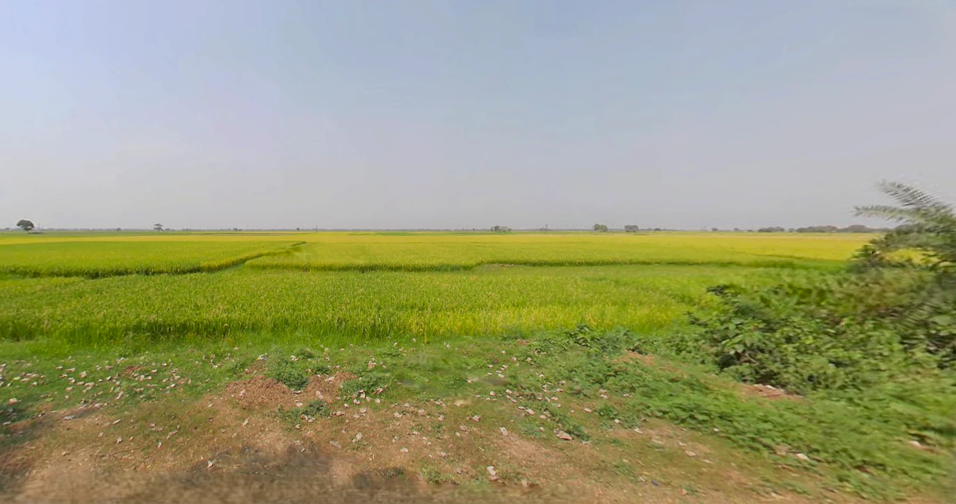 PJCQ+48J, Dhenkanal, Dudhakateni, Odisha 759013, India