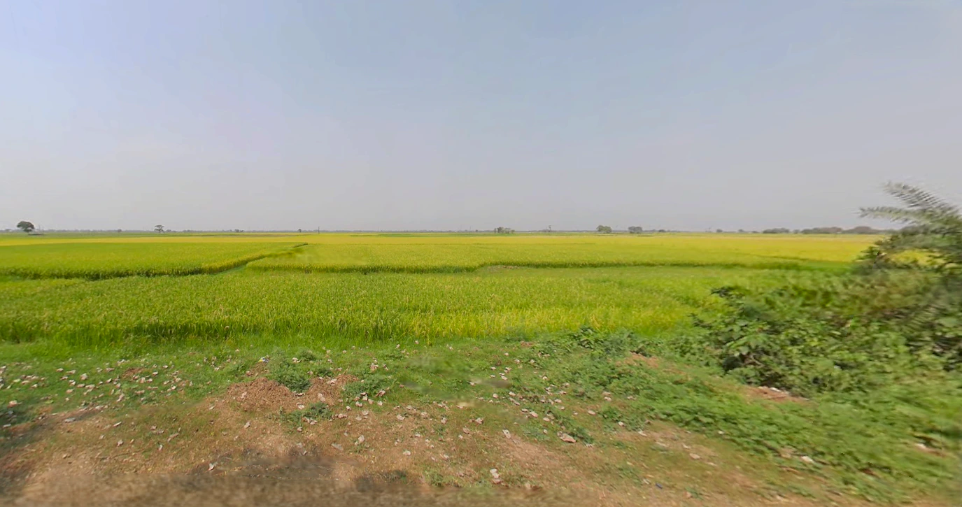 PJCQ+48J, Dhenkanal, Dudhakateni, Odisha 759013, India