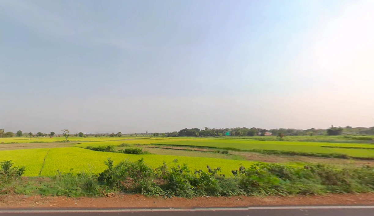 Kesinga, Odisha 766012, India