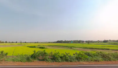 Kesinga, Odisha 766012, India preview 2