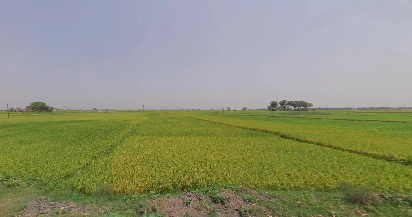 Semiliguda, Odisha 764036, India