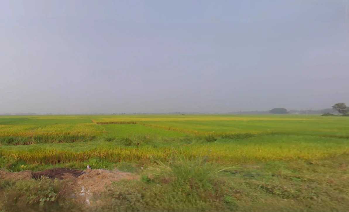 Pokhariput, Bhubaneswar, Odisha, India