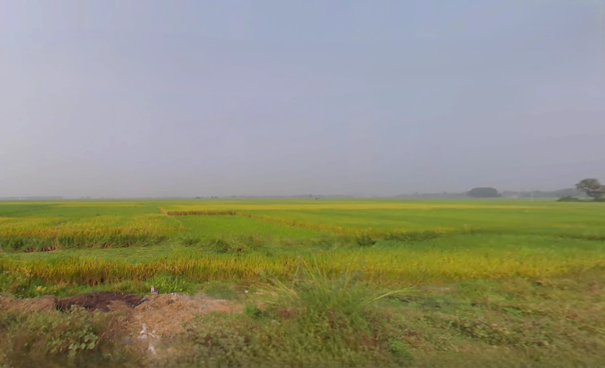 Pokhariput, Bhubaneswar, Odisha, India