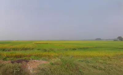 Pokhariput, Bhubaneswar, Odisha, India preview 2