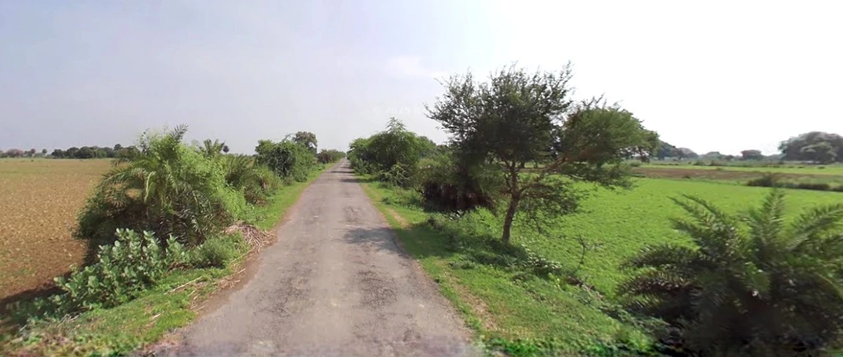 Barnagar, Madhya Pradesh 456771, India