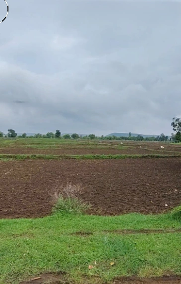 Karpa, Anuppur, Madhya Pradesh 484881, India