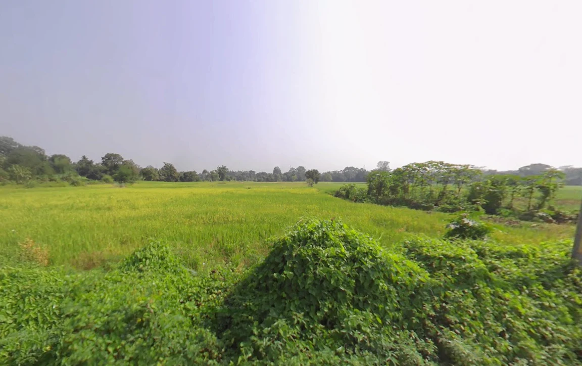 Khandapada, Odisha 752077, India